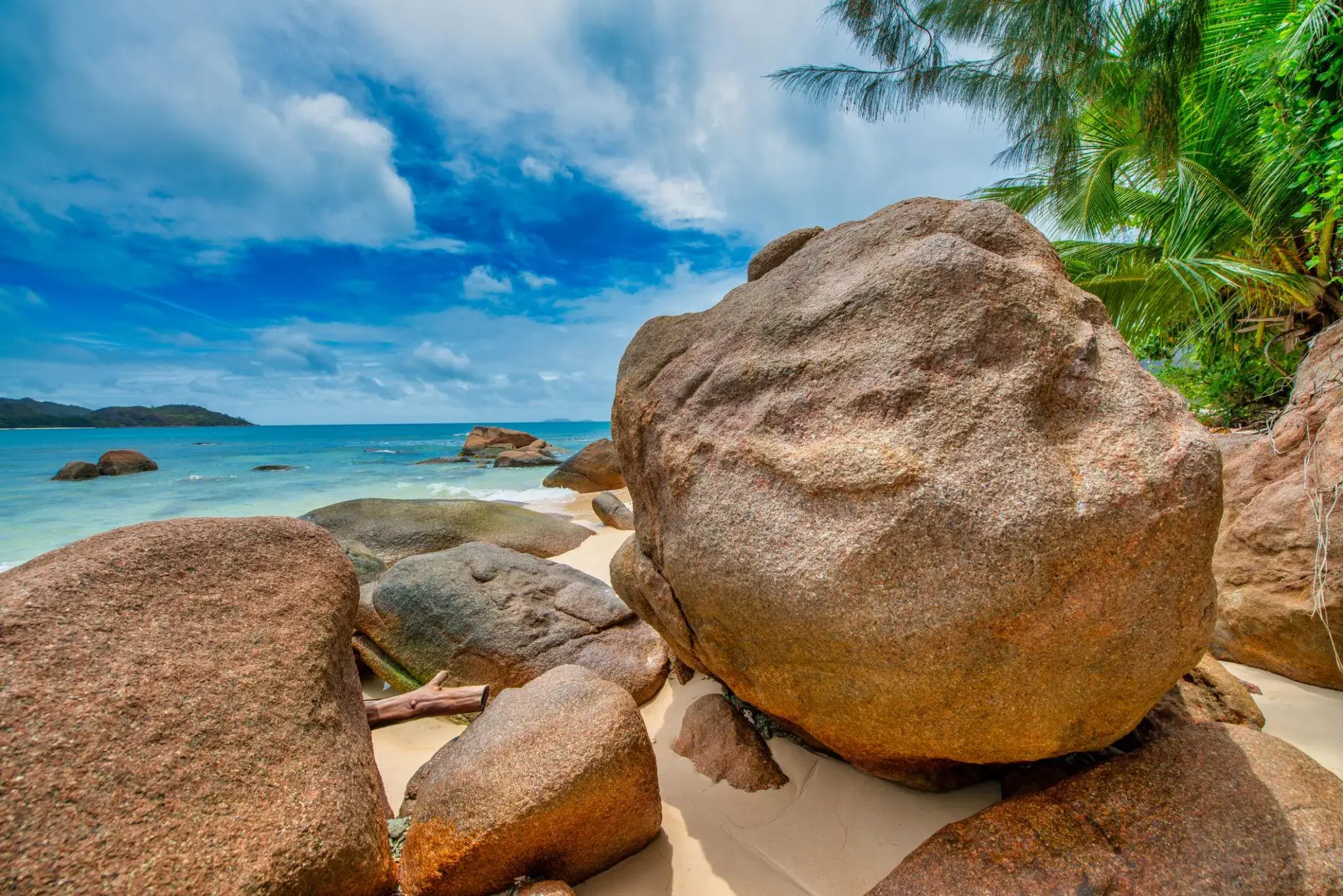 Destinos Imperdibles y Tendencias